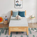 Artemisia 8" Memory Foam Mattress - Dream Home Furniture & Mattress (Waite Park, MN)