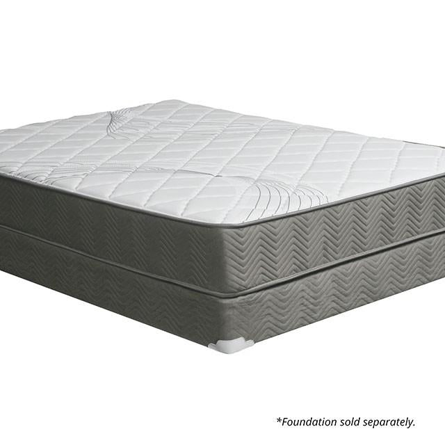 EDREA White/Gray 10" Tight Top Pocket Coil, Queen - Dream Home Furniture & Mattress (Waite Park, MN)