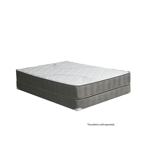EDREA White/Gray 10" Tight Top Pocket Coil, Queen - Dream Home Furniture & Mattress (Waite Park, MN)