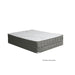 EDREA White/Gray 10" Tight Top Pocket Coil, Queen - Dream Home Furniture & Mattress (Waite Park, MN)