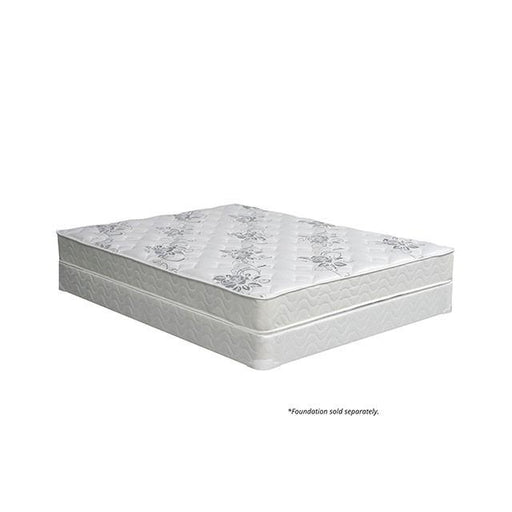 ELBERTYNA White 8" Tight Top Mattress, Cal.King - Dream Home Furniture & Mattress (Waite Park, MN)