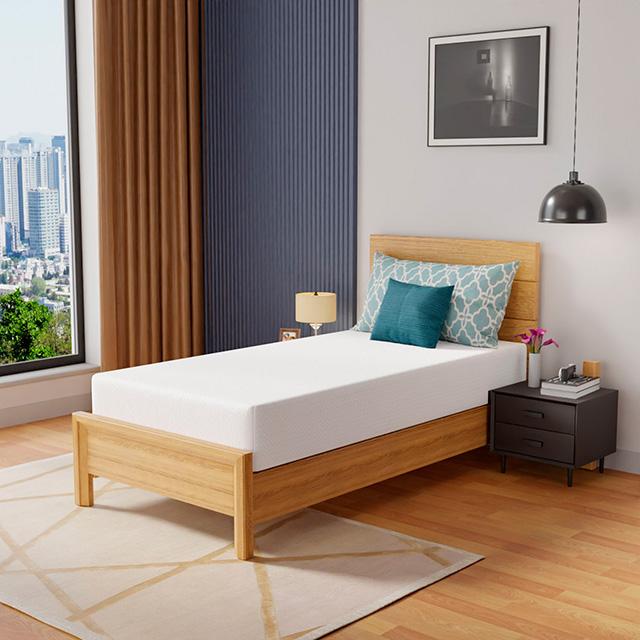 Coreopsis 10" Twin Memory Foam Wave Comfort - Dream Home Furniture & Mattress (Waite Park, MN)