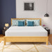 Coreopsis 12" E.King Memory Foam Wave Comfort - Dream Home Furniture & Mattress (Waite Park, MN)