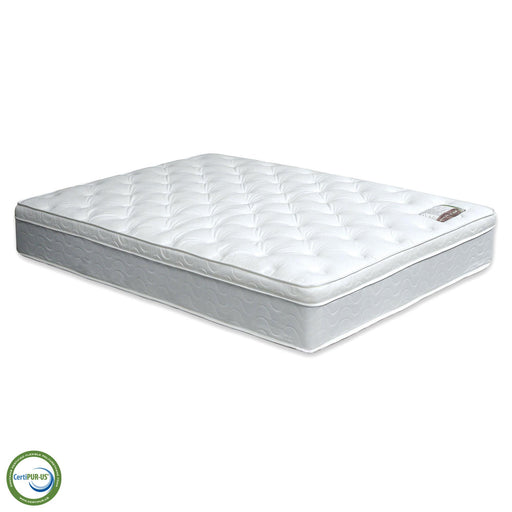 Bird Of Paradise Euro Pillow Top Mattress - Dream Home Furniture & Mattress (Waite Park, MN)
