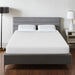 Artemisia 10" Memory Foam Mattress - Dream Home Furniture & Mattress (Waite Park, MN)
