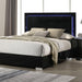 Sinistra Bed - Dream Home Furniture & Mattress (Waite Park, MN)