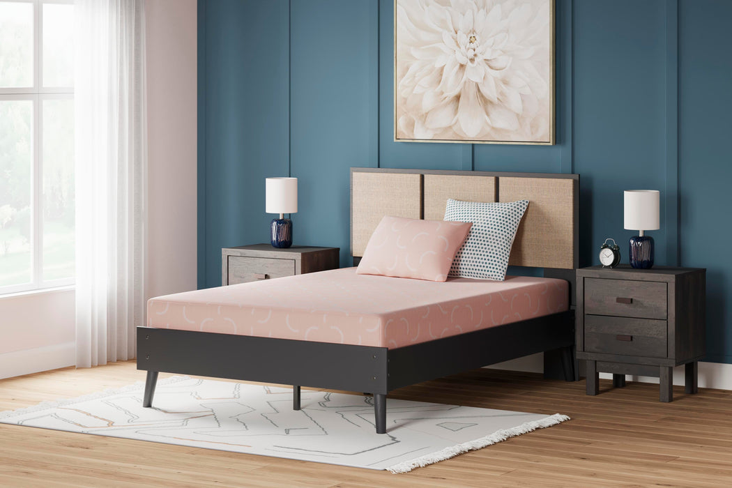 iKidz Coral Mattress and Pillow - Dream Home Furniture & Mattress (Waite Park, MN)