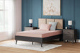 iKidz Coral Mattress and Pillow - Dream Home Furniture & Mattress (Waite Park, MN)