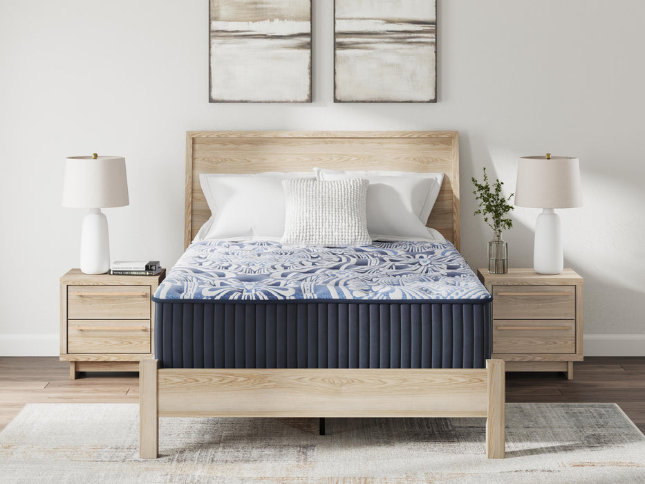 Firm Luxe 2.0 Mattress - Dream Home Furniture & Mattress (Waite Park, MN)