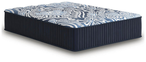 Firm Luxe 2.0 Mattress - Dream Home Furniture & Mattress (Waite Park, MN)