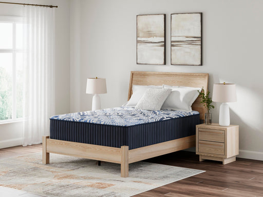 Firm Luxe 2.0 Mattress - Dream Home Furniture & Mattress (Waite Park, MN)