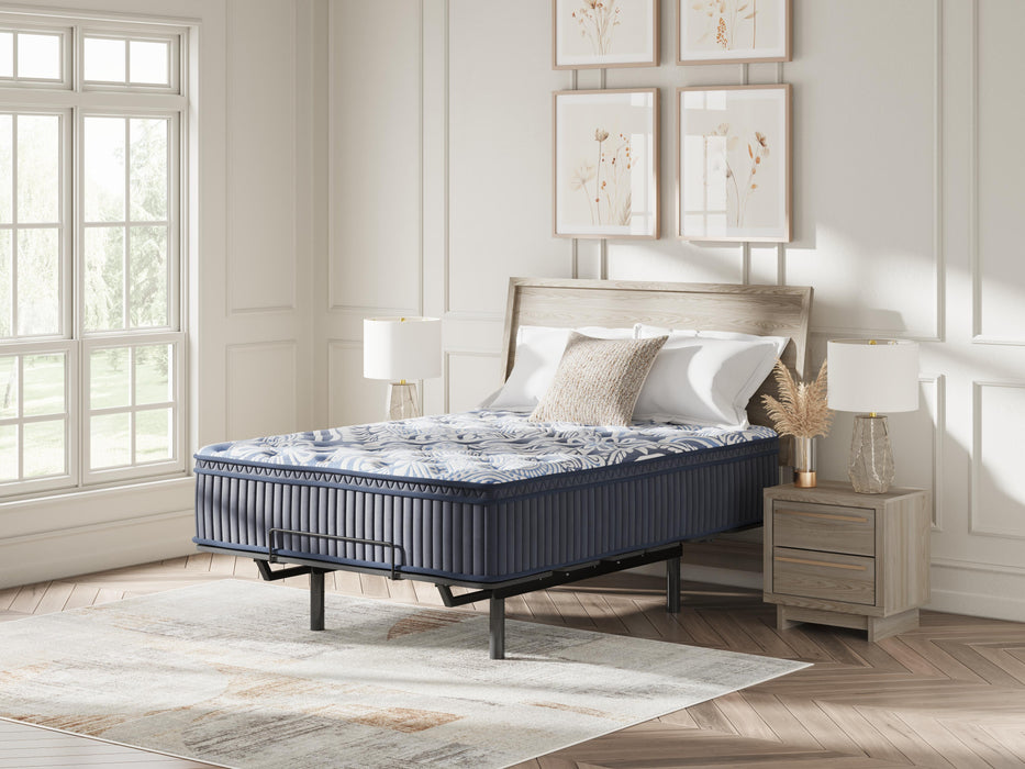 Plush Luxe 2.0 Mattress - Dream Home Furniture & Mattress (Waite Park, MN)