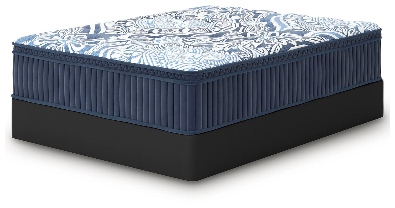 Plush Luxe 2.0 Mattress - Dream Home Furniture & Mattress (Waite Park, MN)