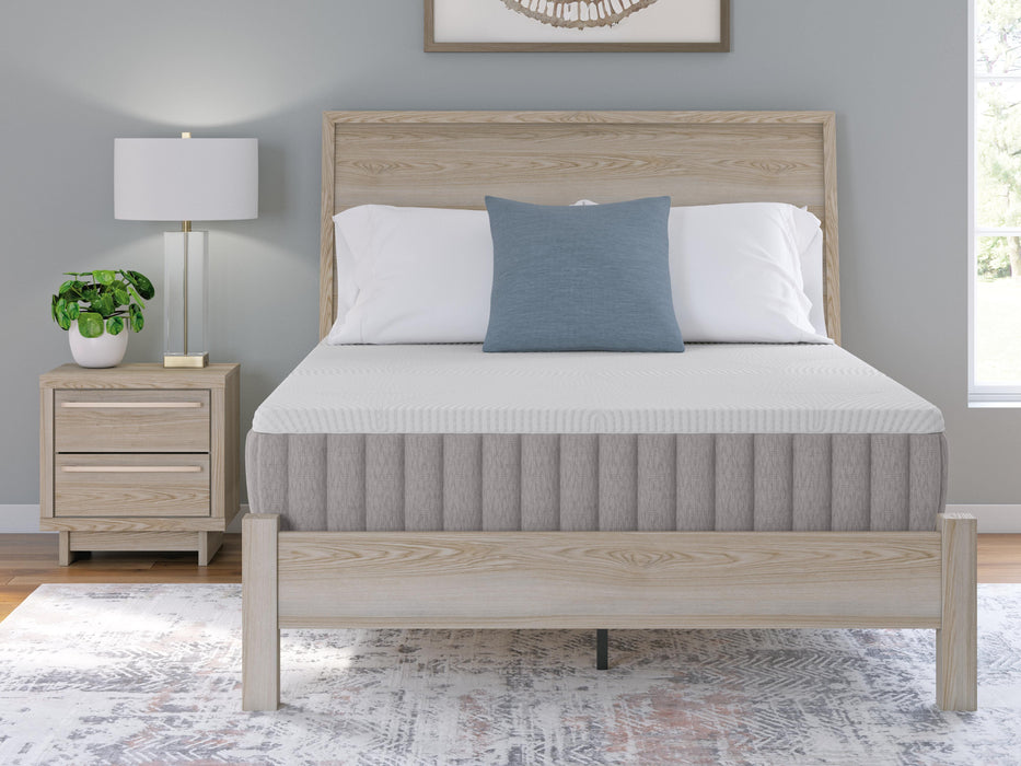 Terra Sleep Firm Mattress - Dream Home Furniture & Mattress (Waite Park, MN)