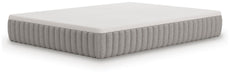 Terra Sleep Medium Mattress - Dream Home Furniture & Mattress (Waite Park, MN)