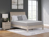 Terra Sleep Medium Mattress - Dream Home Furniture & Mattress (Waite Park, MN)