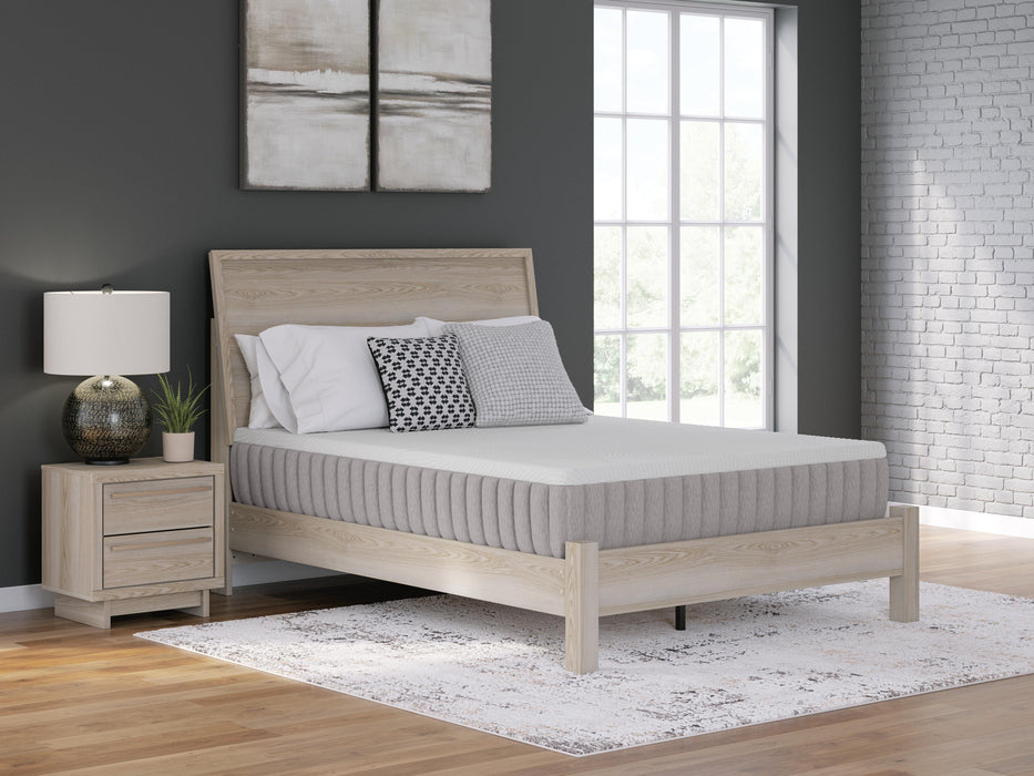 Terra Sleep Medium Mattress - Dream Home Furniture & Mattress (Waite Park, MN)