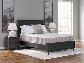 Terra Sleep Soft Mattress - Dream Home Furniture & Mattress (Waite Park, MN)