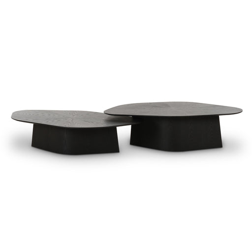 Roche 2-Piece Ash Nesting Coffee Table Set - Dream Home Furniture & Mattress (Waite Park, MN)