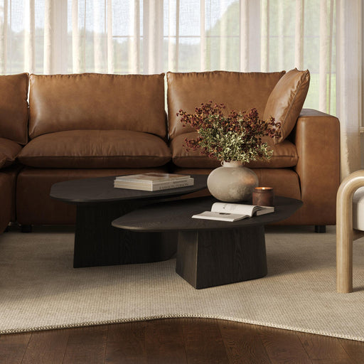 Roche 2-Piece Ash Nesting Coffee Table Set - Dream Home Furniture & Mattress (Waite Park, MN)