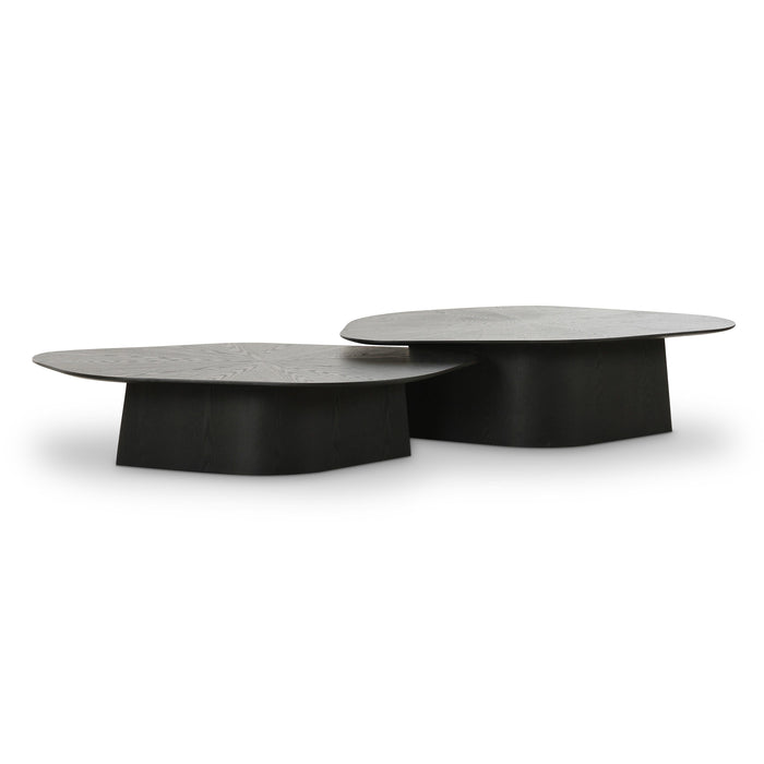 Roche 2-Piece Ash Nesting Coffee Table Set - Dream Home Furniture & Mattress (Waite Park, MN)