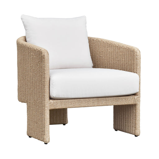 Alexa Rattan Performance Fabric Outdoor Armchair - Dream Home Furniture & Mattress (Waite Park, MN)