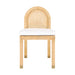 Amara Natural Rattan and Performance Fabric Arched Back Dining Chair - Dream Home Furniture & Mattress (Waite Park, MN)