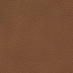 Magic Man 5-Piece Power Reclining Sectional - Dream Home Furniture & Mattress (Waite Park, MN)