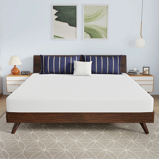 Nasturtium 8" E.King Bamboo Charcoal Infused Memory Foam - Dream Home Furniture & Mattress (Waite Park, MN)