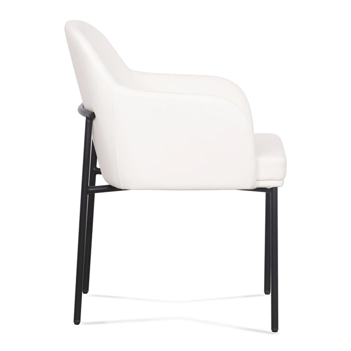Sydney Armchair - Set of 2