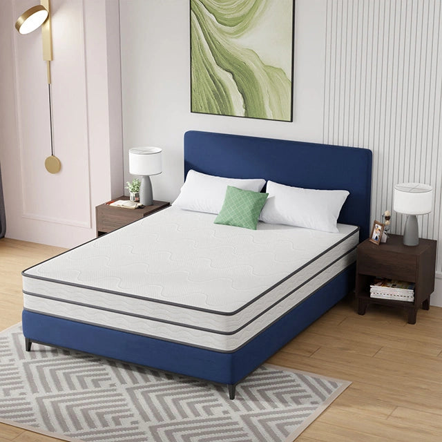Catmint 10" Queen Innerspring Mattress - Dream Home Furniture & Mattress (Waite Park, MN)