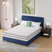 Catmint 10" Queen Innerspring Mattress - Dream Home Furniture & Mattress (Waite Park, MN)