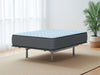 Destin Cove Firm Mattress - Dream Home Furniture & Mattress (Waite Park, MN)