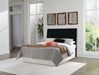 Danziar Bed - Dream Home Furniture & Mattress (Waite Park, MN)