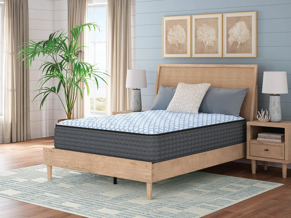 Destin Cove Plush Mattress - Dream Home Furniture & Mattress (Waite Park, MN)