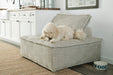 Bales Accent Chair - Dream Home Furniture & Mattress (Waite Park, MN)