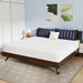 Nasturtium 10" E.King Bamboo Charcoal Infused Memory Foam - Dream Home Furniture & Mattress (Waite Park, MN)