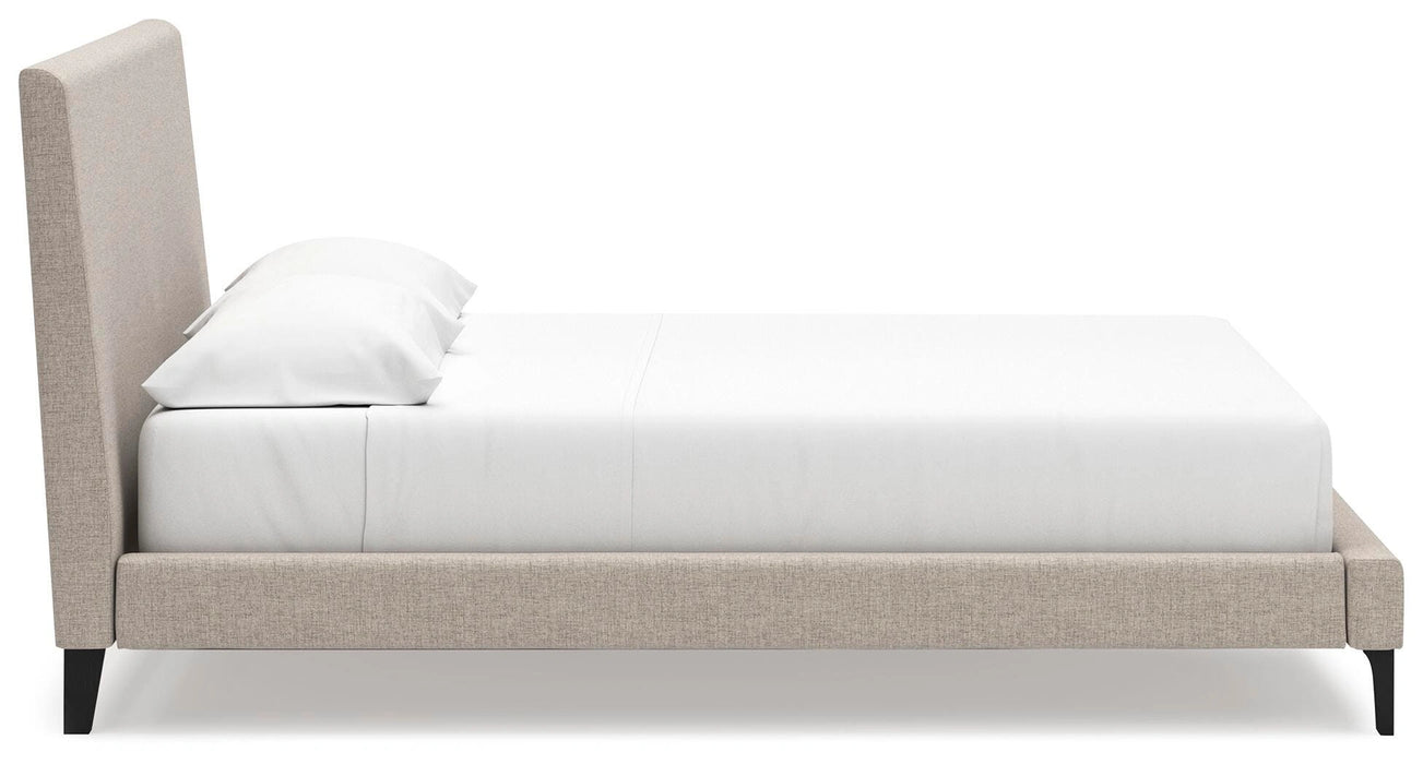 Cielden Upholstered Bed with Roll Slats - Dream Home Furniture & Mattress (Waite Park, MN)