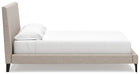 Cielden Upholstered Bed with Roll Slats - Dream Home Furniture & Mattress (Waite Park, MN)