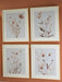 Chettings Wall Art (Set of 4) - Dream Home Furniture & Mattress (Waite Park, MN)