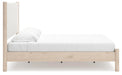Cadmori Upholstered Bed - Dream Home Furniture & Mattress (Waite Park, MN)