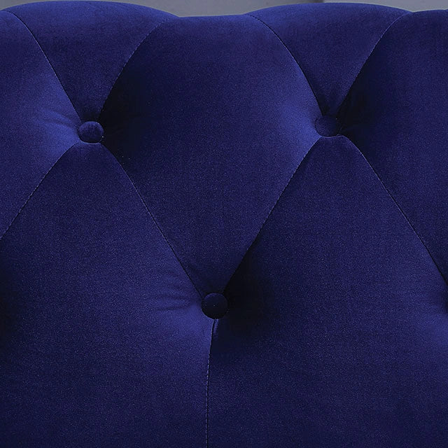 GIACOMO Loveseat, Blue - Dream Home Furniture & Mattress (Waite Park, MN)