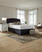 Chime 12 Inch Memory Foam Mattress in a Box - Dream Home Furniture & Mattress (Waite Park, MN)