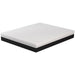 Verbena 12" Queen Hybrid Pocket Coil Mattress - Dream Home Furniture & Mattress (Waite Park, MN)
