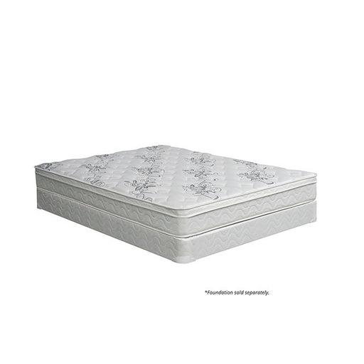 JALEN White 9" Euro Top Mattress, Cal.King - Dream Home Furniture & Mattress (Waite Park, MN)