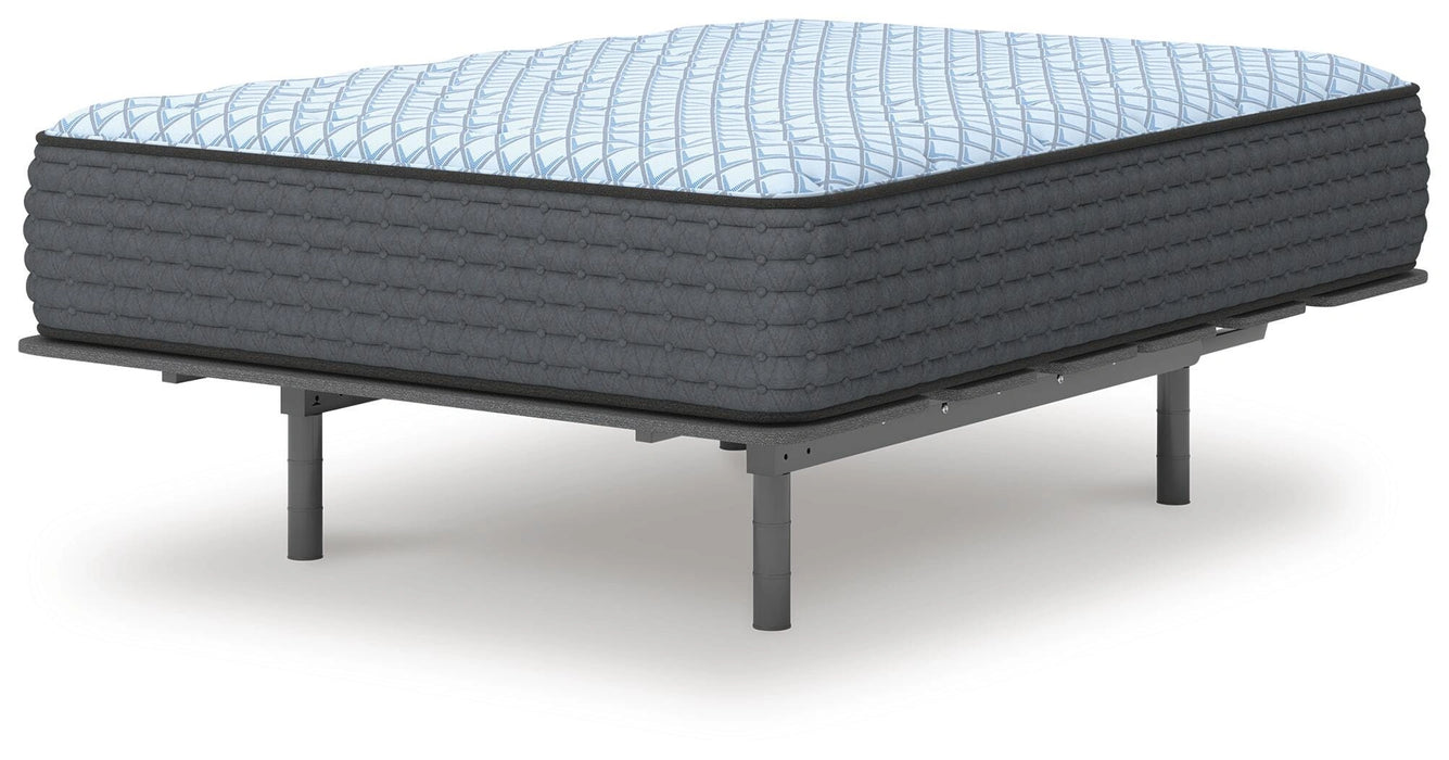 Destin Cove Plush Mattress - Dream Home Furniture & Mattress (Waite Park, MN)