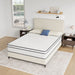 Catmint 10" Full Innerspring Mattress - Dream Home Furniture & Mattress (Waite Park, MN)