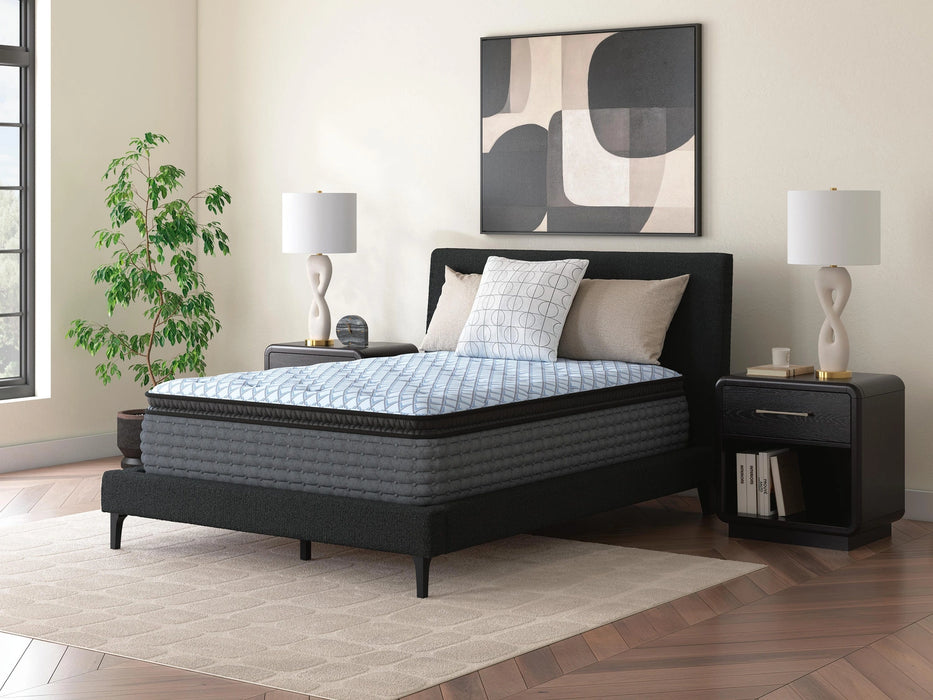 Destin Cove PT Mattress - Dream Home Furniture & Mattress (Waite Park, MN)