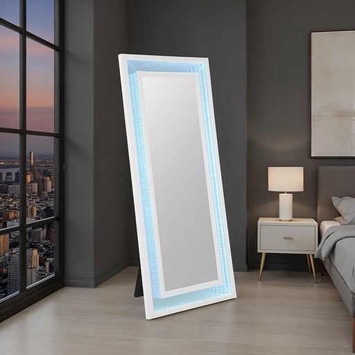 Solinus Floor Mirror - Dream Home Furniture & Mattress (Waite Park, MN)