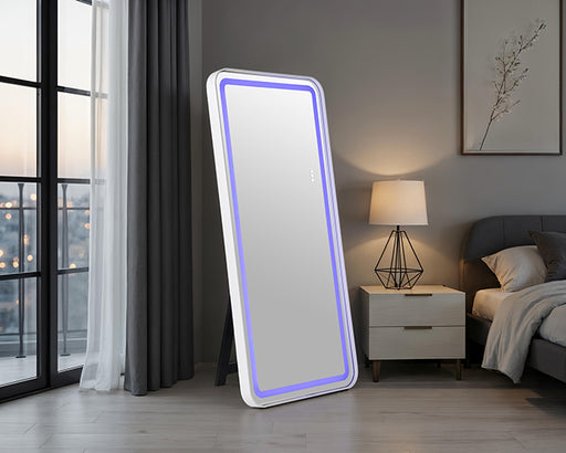 Katlyn Floor Mirror - Dream Home Furniture & Mattress (Waite Park, MN)